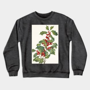 American holly - Botanical Illustration Crewneck Sweatshirt